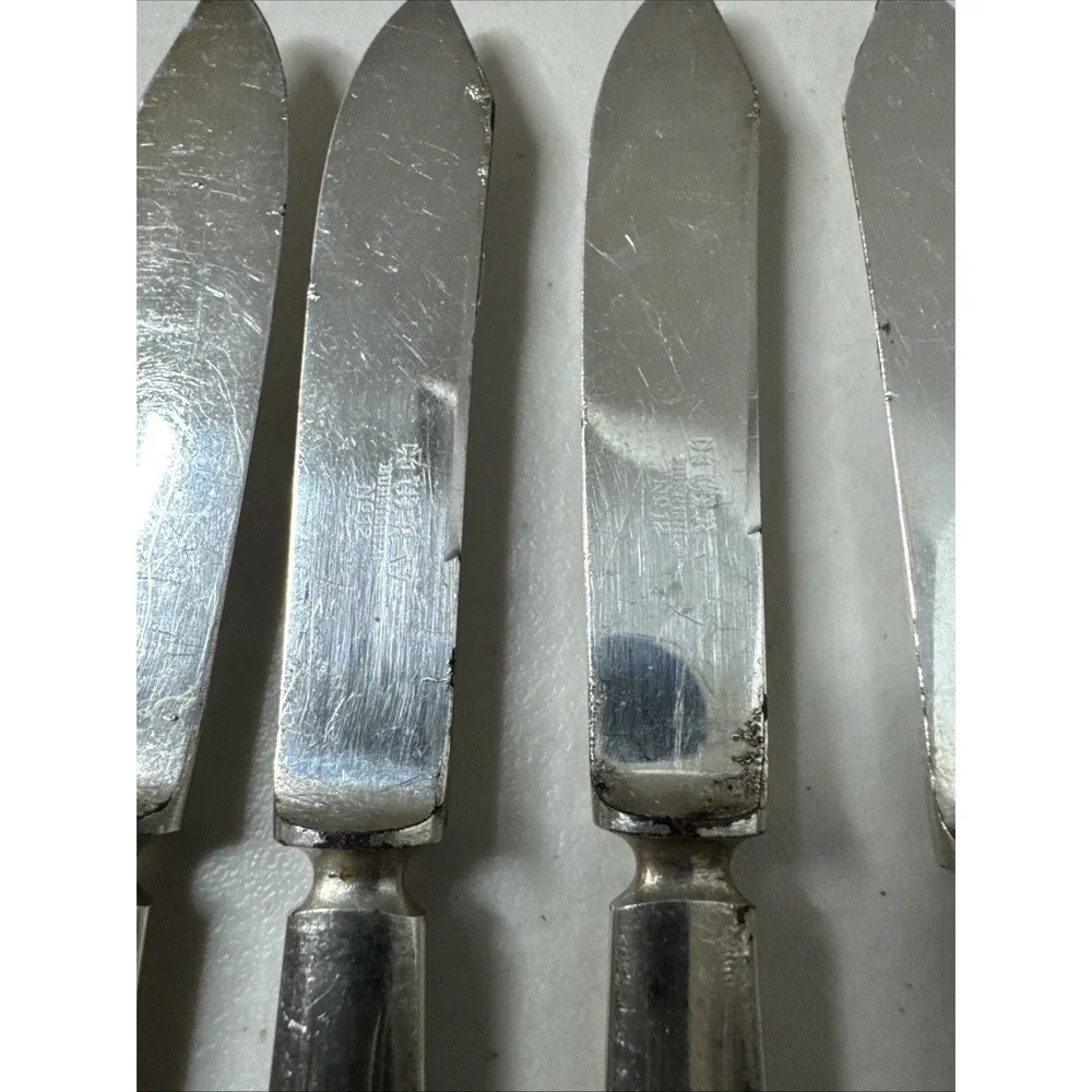 Oneida Silver Carnation Fruit Knife Silverplate Flaws